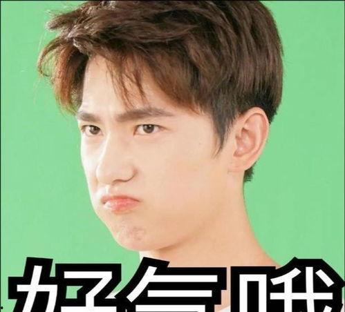 吃瓜少女张小寒娱乐圈,吃瓜少女的娱乐圈探秘之旅